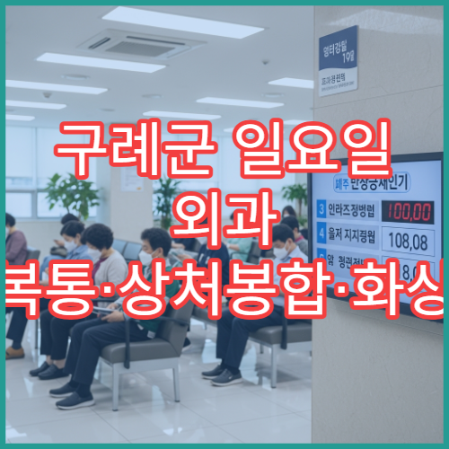 구례군 일요일 외과 복통·상처봉합·화상 응급처치 병원