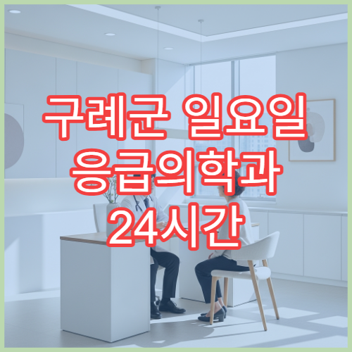 구례군 일요일 응급의학과 24시간 응급실 운영 진료 병원