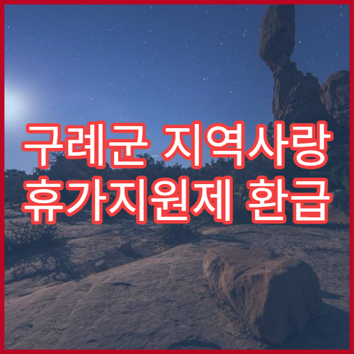 구례군 지역사랑 휴가지원제 환급 한도 비교｜개인vs단체