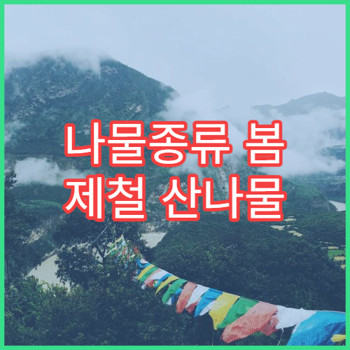 나물종류 봄 제철 산나물 고사리 냉이 두릅 손질법 모음