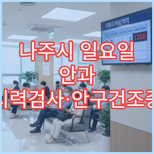 나주시 일요일 안과 시력검사·안구건조증 치료 병원