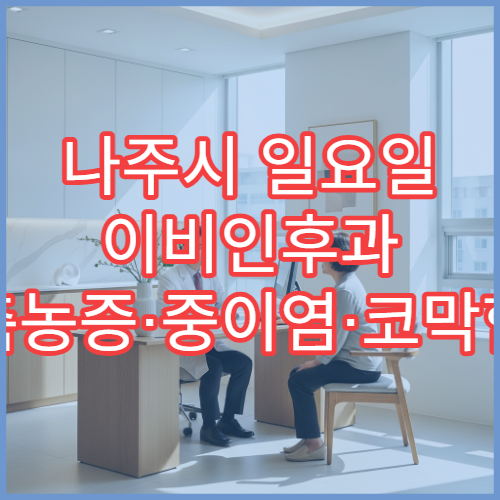 나주시 일요일 이비인후과 축농증·중이염·코막힘 진료 병원