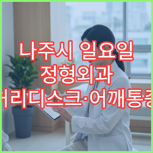 나주시 일요일 정형외과 허리디스크·어깨통증 물리치료 병원