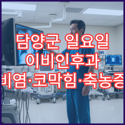 담양군 일요일 이비인후과 비염·코막힘·축농증 전문 진료 병원