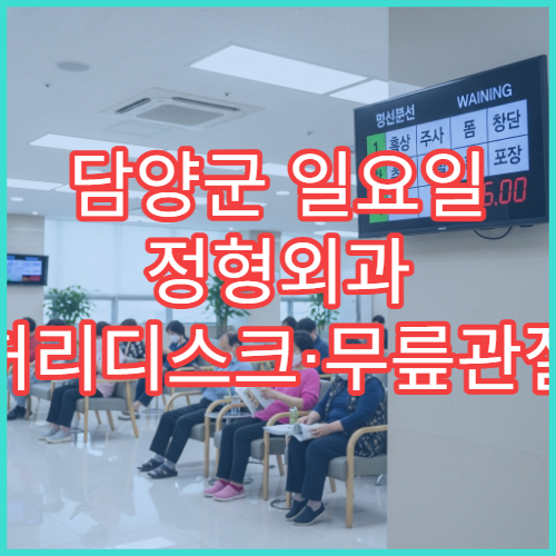 담양군 일요일 정형외과 허리디스크·무릎관절 물리치료 가능 병원