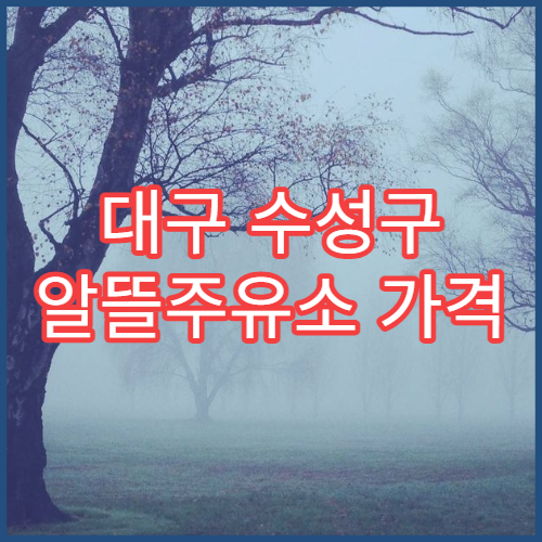 대구 수성구 알뜰주유소 가격 비교 오피넷 주유소 최저가 확인