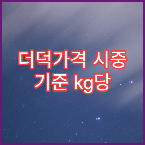 더덕가격 시중 기준 kg당 산지 직거래 싸게 사는 곳 추천
