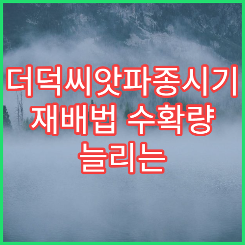 더덕씨앗파종시기 재배법 수확량 늘리는 팁 초보자 가이드