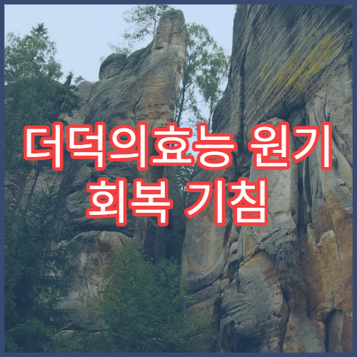 더덕의효능 원기 회복 기침 완화 봄철 자연식 섭취 가이드