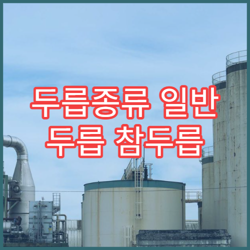 두릅종류 일반 두릅 참두릅 특징 효능 손질법 비교 정리