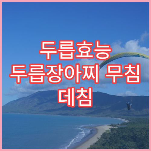 두릅효능 두릅장아찌 무침 데침 제철 봄나물 섭취 가이드