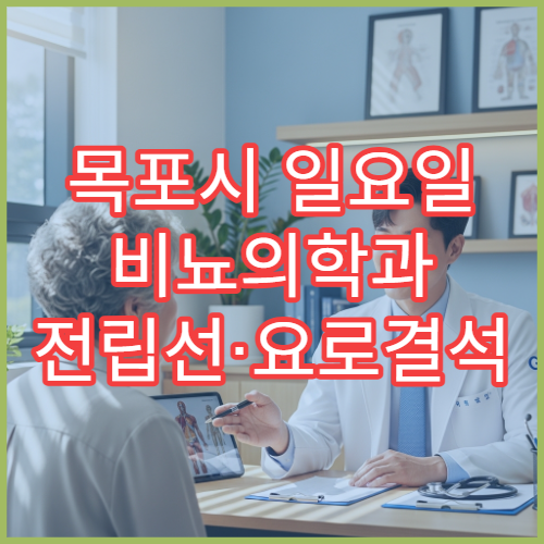 목포시 일요일 비뇨의학과 전립선·요로결석 검사 병원