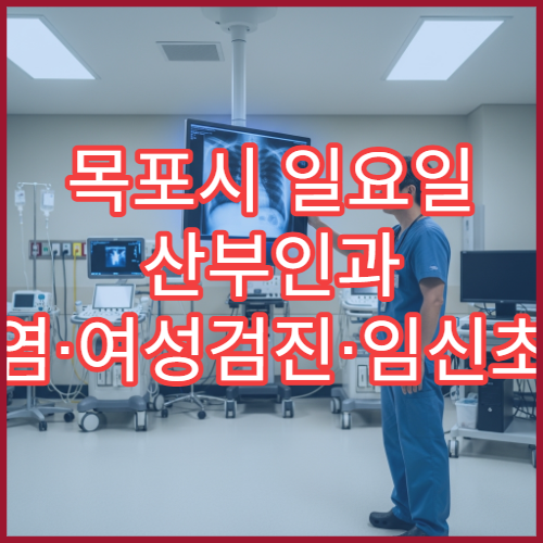 목포시 일요일 산부인과 질염·여성검진·임신초기 진료 병원