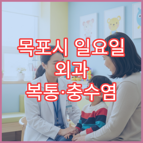 목포시 일요일 외과 복통·충수염 의심 응급 진료 병원