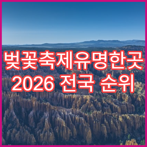 벚꽃축제유명한곳 2026 전국 순위 진해 여수 광한루 추천