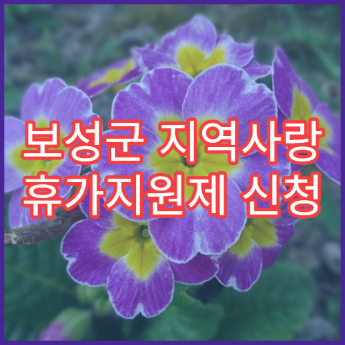 보성군 지역사랑 휴가지원제 신청 성공 사례｜영수증 팁