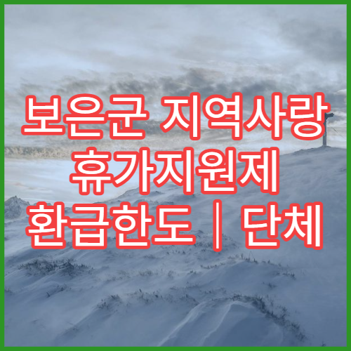 보은군 지역사랑 휴가지원제 환급한도｜단체 최대 20만