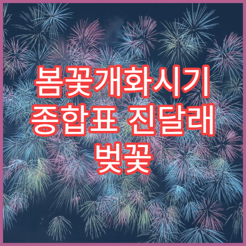 봄꽃개화시기 종합표 진달래 벚꽃 유채꽃 개화 순서 타임라인