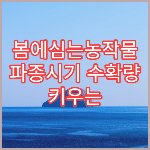 봄에심는농작물 파종시기 수확량 키우는 초보 농사 로드맵