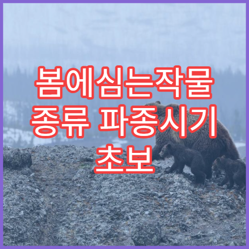 봄에심는작물 종류 파종시기 초보 농사 가이드 완벽 정리