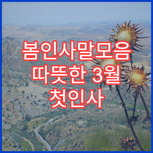 봄인사말모음 따뜻한 3월 첫인사 직장 SNS 예쁜 글귀 추천