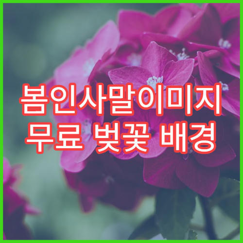 봄인사말이미지 무료 벚꽃 배경 예쁜 아침인사 SNS용 모음