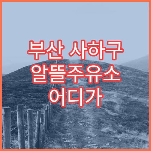 부산 사하구 알뜰주유소 어디가 싸나 리터당 절약 가능한 주유소 찾기