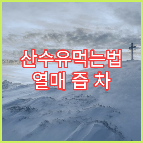 산수유먹는법 열매 즙 차 환 효능 섭취량 안전한 방법