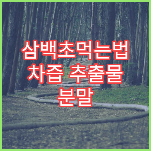 삼백초먹는법 차즙 추출물 분말 활용 레시피 효능 극대화