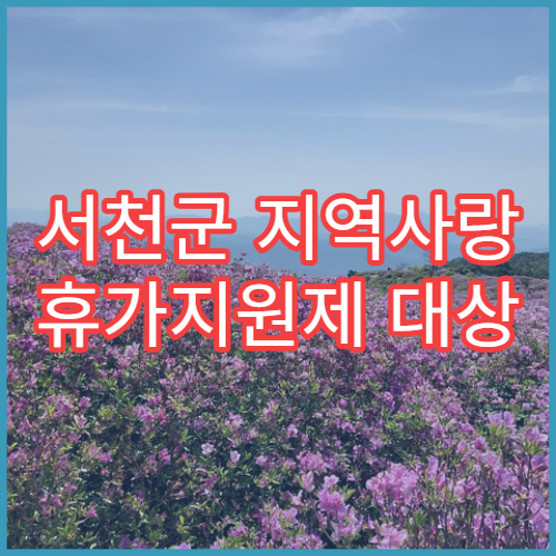 서천군 지역사랑 휴가지원제 대상 확인｜인구감소지역 여행