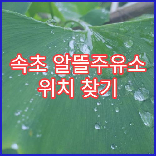 속초 알뜰주유소 위치 찾기 내 주변 주유소 검색