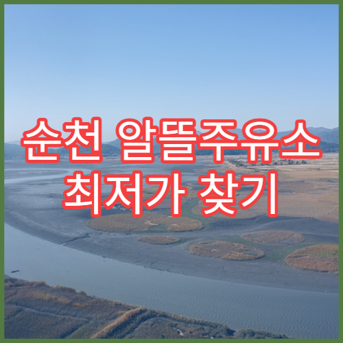 순천 알뜰주유소 최저가 찾기 오피넷 앱 활용 가이드