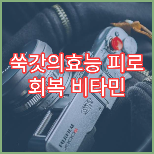 쑥갓의효능 피로 회복 비타민 봄나물 활용법 레시피 정리