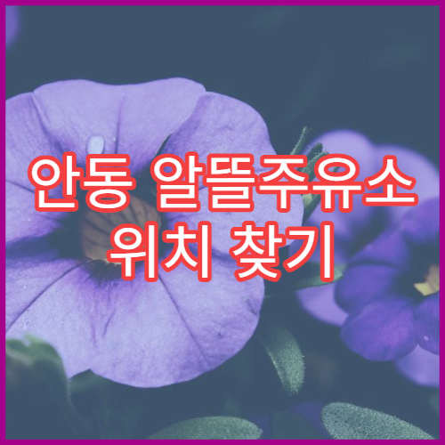안동 알뜰주유소 위치 찾기 내 주변 주유소 검색