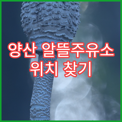 양산 알뜰주유소 위치 찾기 오피넷 활용 가이드