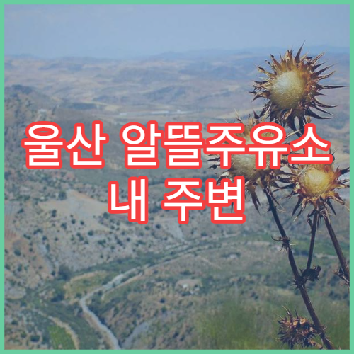 울산 알뜰주유소 내 주변 위치 찾기 오피넷 앱 주유소 검색 방법