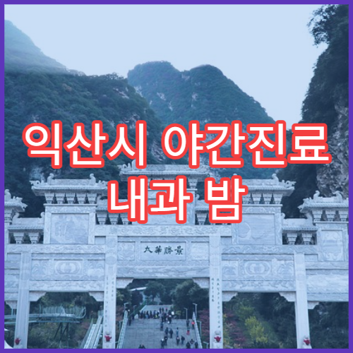 익산시 야간진료 내과 밤 9시까지 감기·복통·소화불량 진료 가능한 병원 찾기