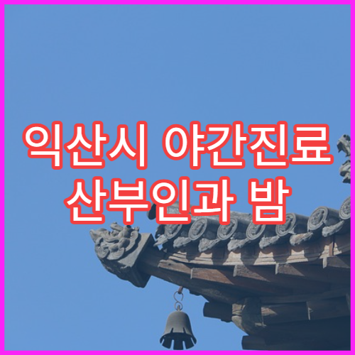 익산시 야간진료 산부인과 밤 9시까지 여성질환 상담 가능한 병원 찾기
