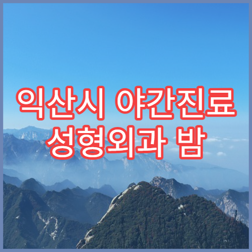 익산시 야간진료 성형외과 밤 9시까지 흉터·피부종양 상담 가능한 병원 안내