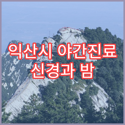 익산시 야간진료 신경과 밤 9시까지 어지럼증·두통 검사 가능한 병원 찾기