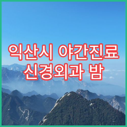 익산시 야간진료 신경외과 밤 9시까지 두통·목디스크 통증 치료 가능한 병원 찾기