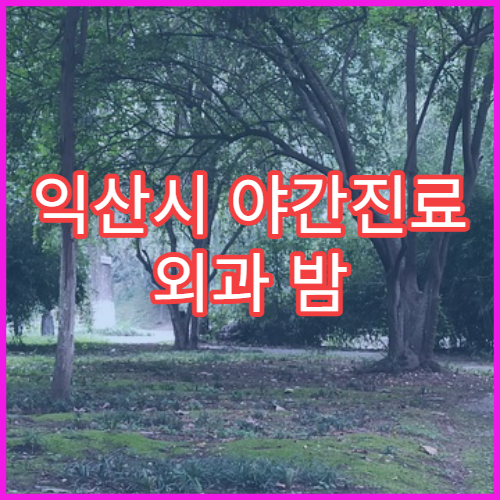 익산시 야간진료 외과 밤 9시까지 상처치료·봉합 가능한 응급 병원 찾기