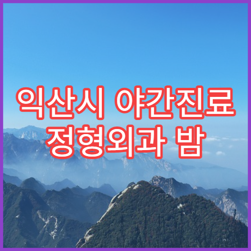 익산시 야간진료 정형외과 밤 10시까지 허리통증·무릎통증 치료 가능한 병원 찾기