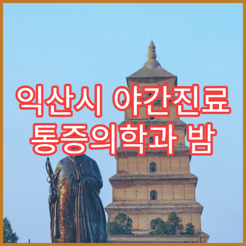 익산시 야간진료 통증의학과 밤 10시까지 어깨·허리 통증 치료 가능한 병원 안내