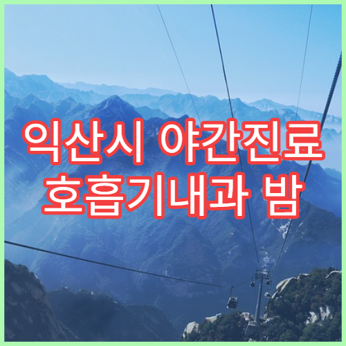 익산시 야간진료 호흡기내과 밤 9시까지 기침·기관지염 치료 가능한 병원 안내