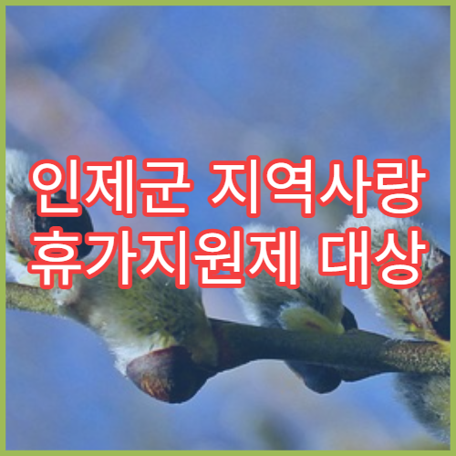 인제군 지역사랑 휴가지원제 대상 확인｜지역사랑상품권 활용