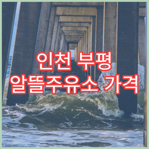 인천 부평 알뜰주유소 가격 비교 기름값 절약 오피넷 앱 사용법