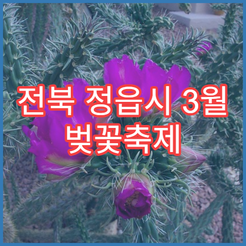 전북 정읍시 3월 벚꽃축제 가족 나들이 코스 한눈에 보기