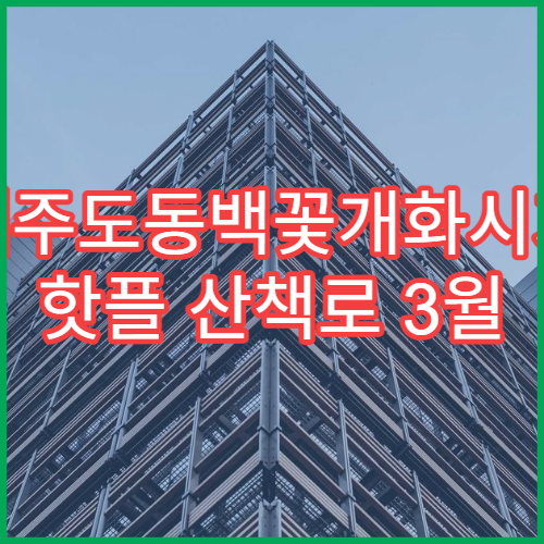 제주도동백꽃개화시기 핫플 산책로 3월 봄꽃 인생샷 코스