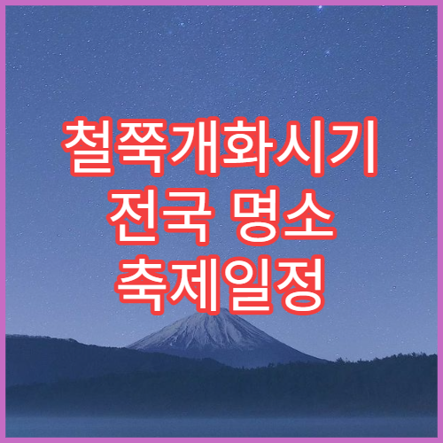 철쭉개화시기 전국 명소 축제일정 봄꽃여행 계획 세우기